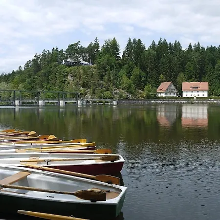 Nr 16a3, Hagbuegerl, Bayr Wald Prázdninový dům Waldmünchen