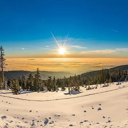 Nr 16a3, Hagbuegerl, Bayr Wald Prázdninový dům Waldmünchen
