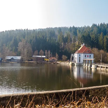 Nr 16a3, Hagbuegerl, Bayr Wald Prázdninový dům *