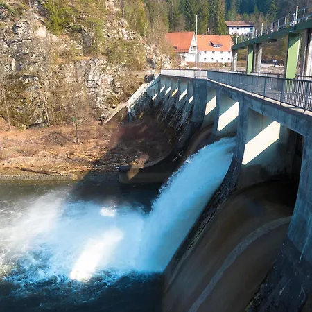 Nr 16a3, Hagbuegerl, Bayr Wald Waldmuenchen