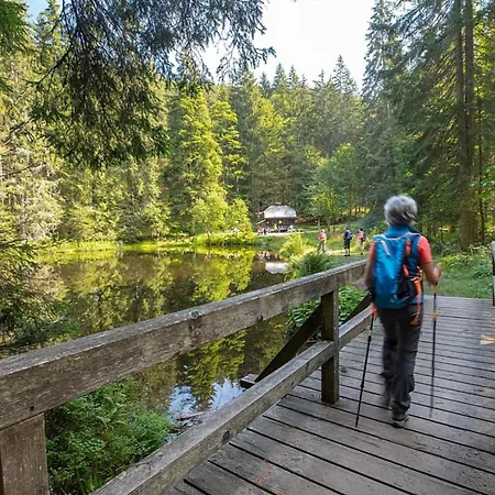 Nr 16a3, Hagbuegerl, Bayr Wald