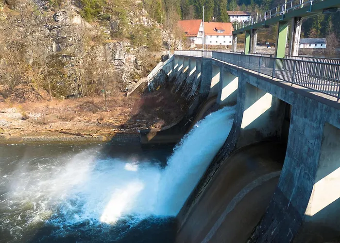 Nr 16a3, Hagbuegerl, Bayr Wald Waldmünchen